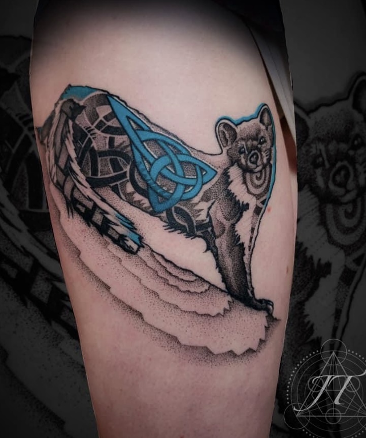 Celtic knot marten tattoo with blue accent by Jarlath Tourish